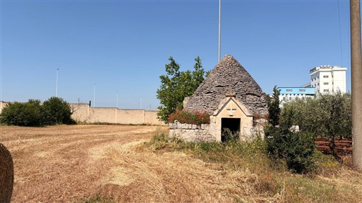 Caratteristico Trullo Con Terreno Di 3.000 mq. Circa.